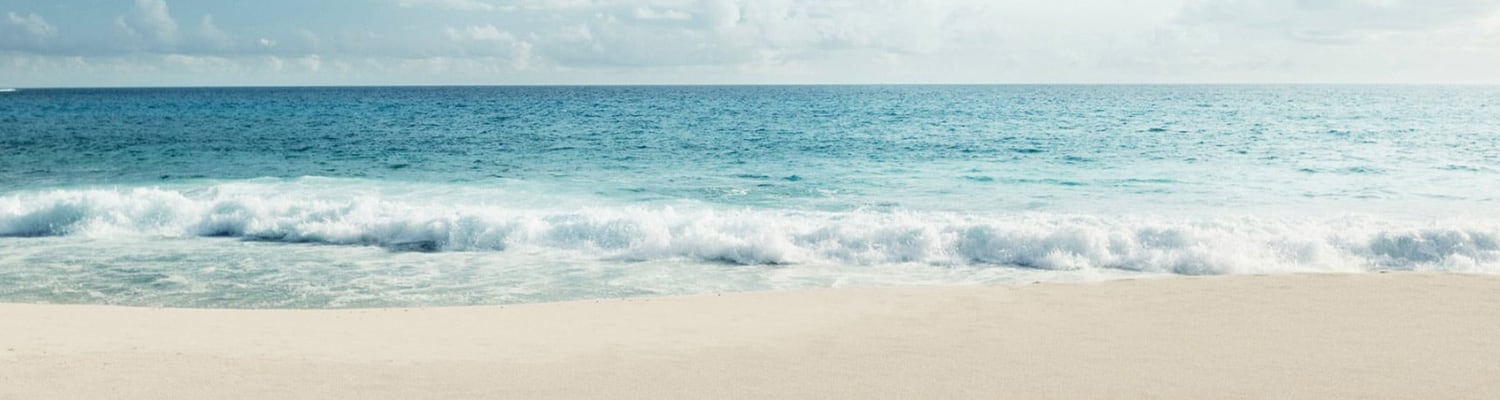 Image for Hero Banner